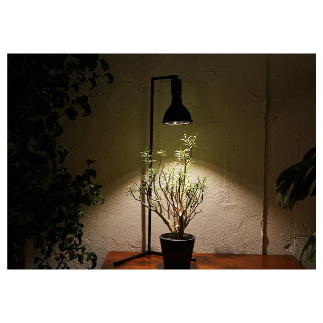 Top Recommendation Nicest Quality Akond Extremely Thin Frame Adjusted Angle Led Lamp Base Stand Light