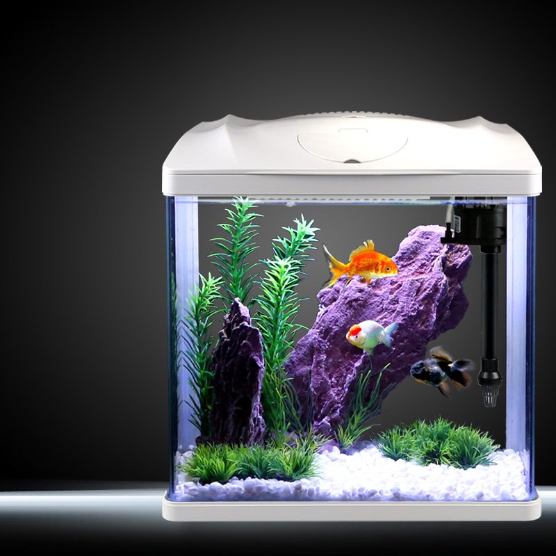 Highly Functional Fish Tank Small Desktop Aquarium for Children and Beginners
