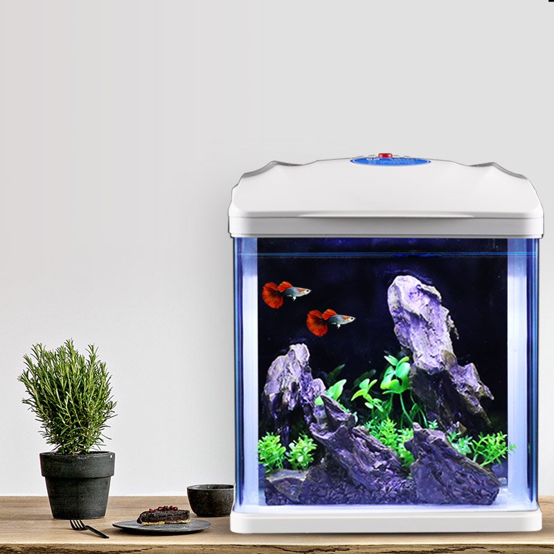 Highly Functional Fish Tank Small Desktop Aquarium for Children and Beginners