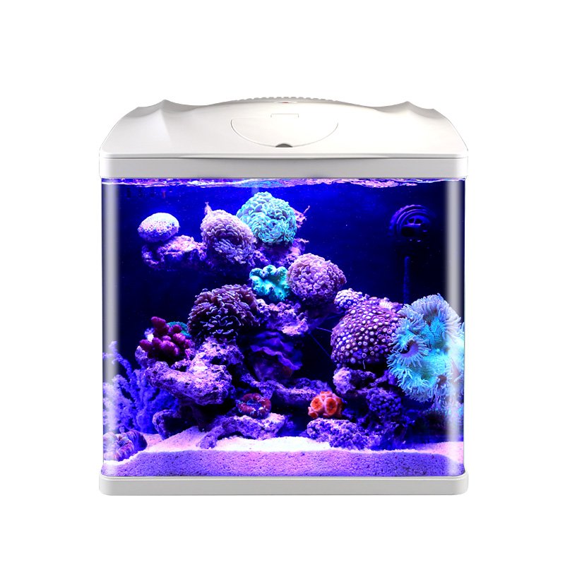 Highly Functional Fish Tank Small Desktop Aquarium for Children and Beginners