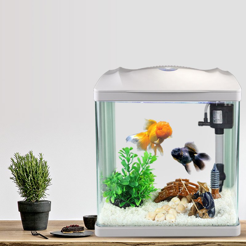Highly Functional Fish Tank Small Desktop Aquarium for Children and Beginners