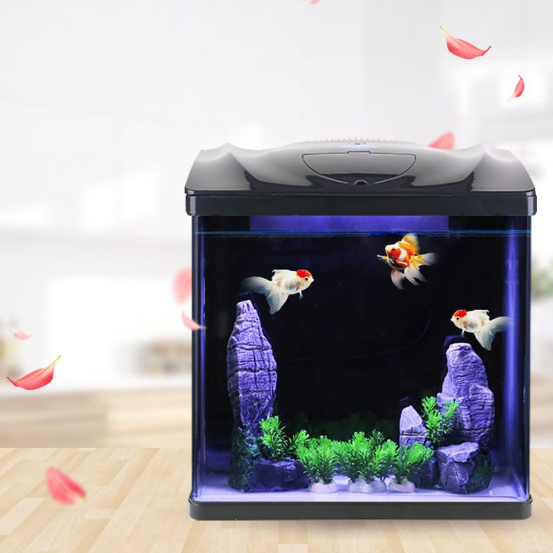 Highly Functional Fish Tank Small Desktop Aquarium for Children and Beginners