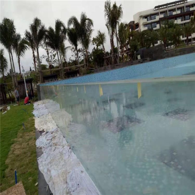 Factory Direct Acrylic Lucite Endless Swimming Pool above Ground with Acrylic Window