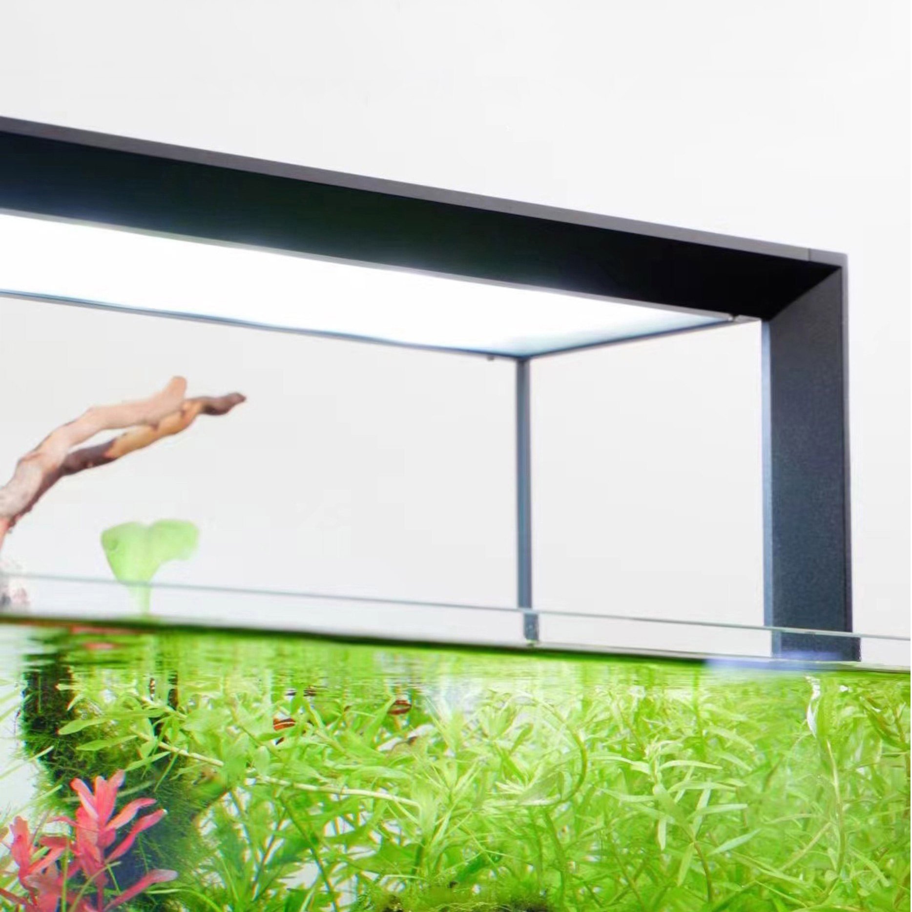 Nihao series 120W APP control WRGB 4 Channels LED Aquarium Light for plant growth