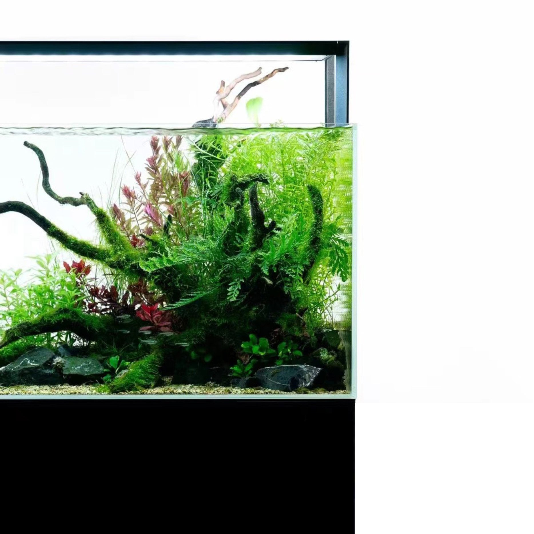 Nihao series 120W APP control WRGB 4 Channels LED Aquarium Light for plant growth