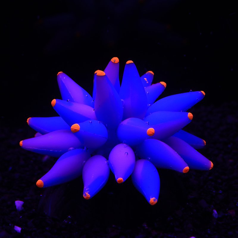 Unique aquarium decorated aquarium decorated with artificial non-plastic plant glow effect silicone foam coral reef - orange red
