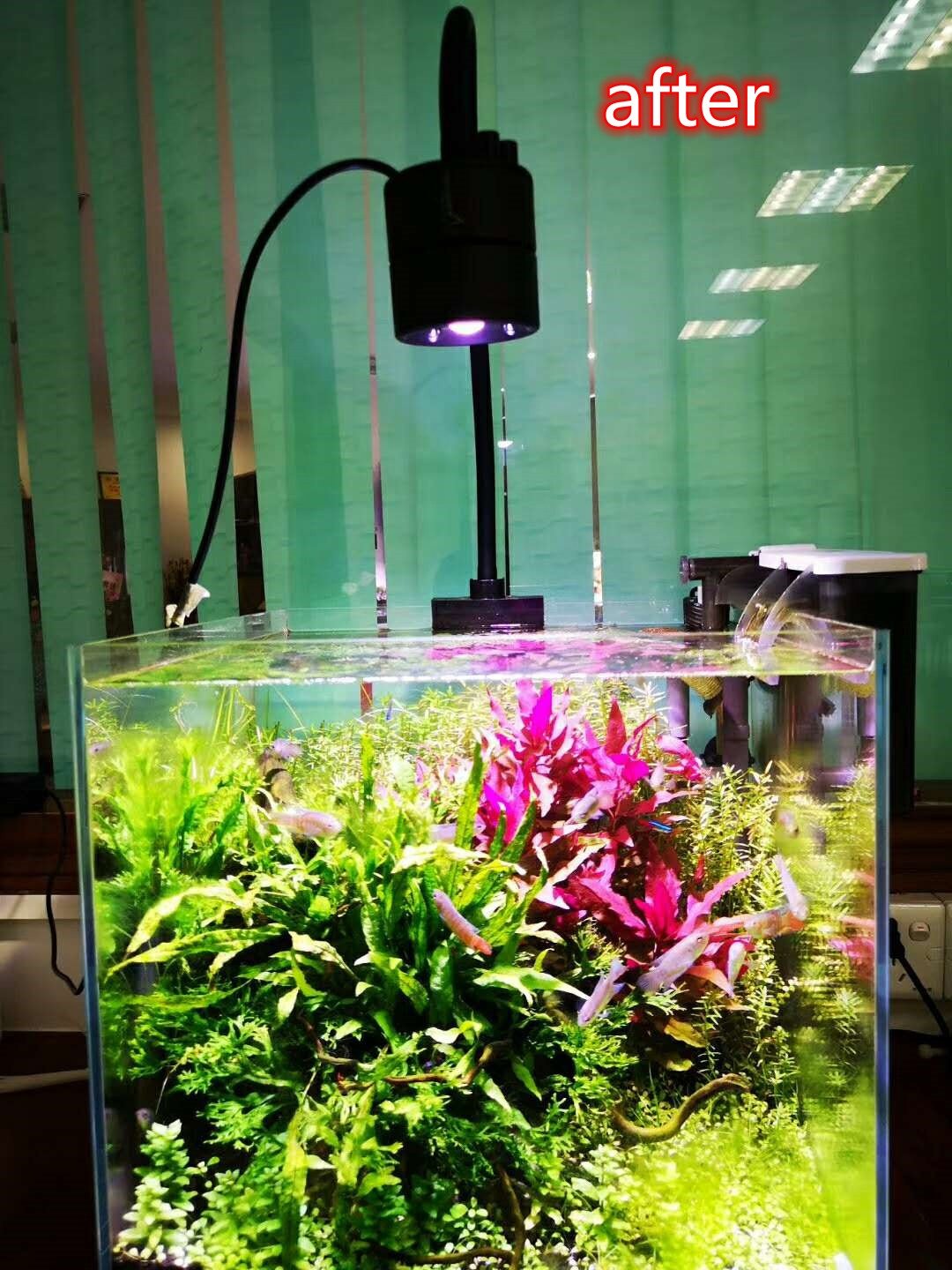 New Design A.S. WRGB Plant Grow LED Lights ASWPL-01 38W Aquascape Light Aquarium Lighting for Water Plants