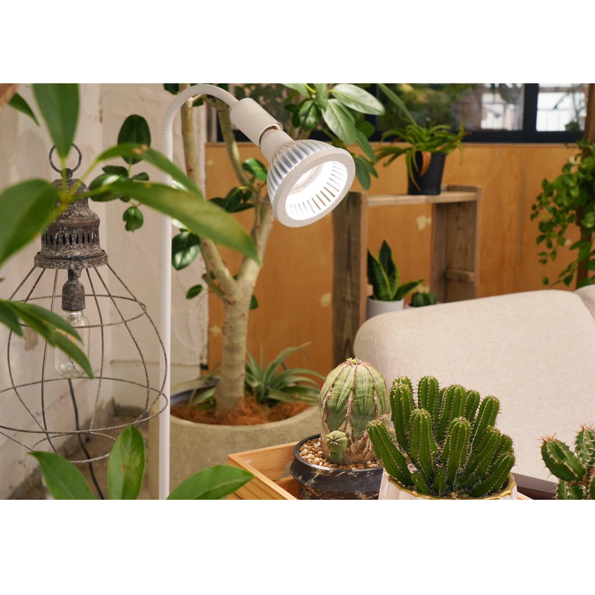 Greatest Quality Wholesale NEO TSUKUYOMI 20W Plant Cultivation Led Grow Light Full Spectrum