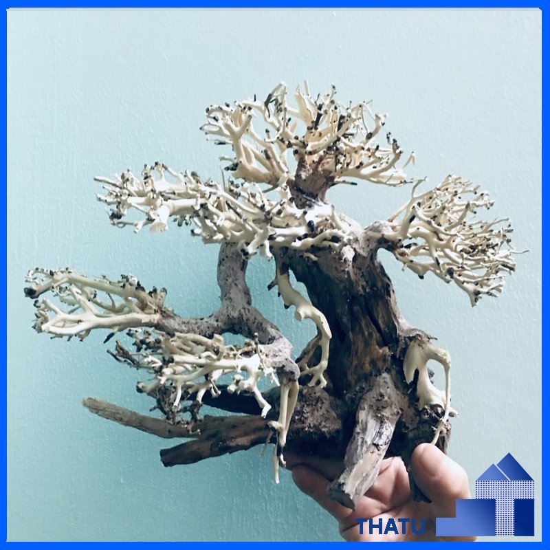 Artificial Bonsai Driftwood Safe for Fish Tank Decoration WhatsApp: +84 961005832
