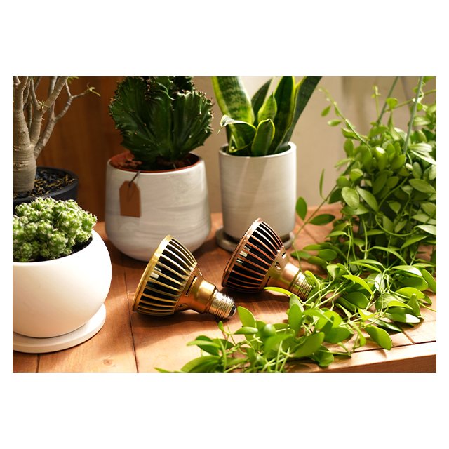 Highly Approved Best Quality TSKUYOMI 10W Akadamachan Underwater Plants Grow LED Light Aquarium