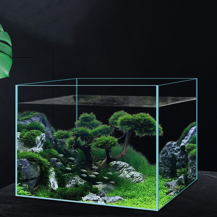 Wholesale Price Home Decoration Betta Aquarium Custom Size 1.5 2 10 15 30 Gallon Clear Acrylic Fish Tank