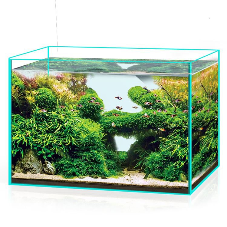 Wholesale Price Home Decoration Betta Aquarium Custom Size 1.5 2 10 15 30 Gallon Clear Acrylic Fish Tank