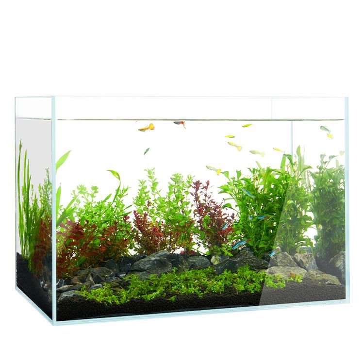Wholesale Price Home Decoration Betta Aquarium Custom Size 1.5 2 10 15 30 Gallon Clear Acrylic Fish Tank