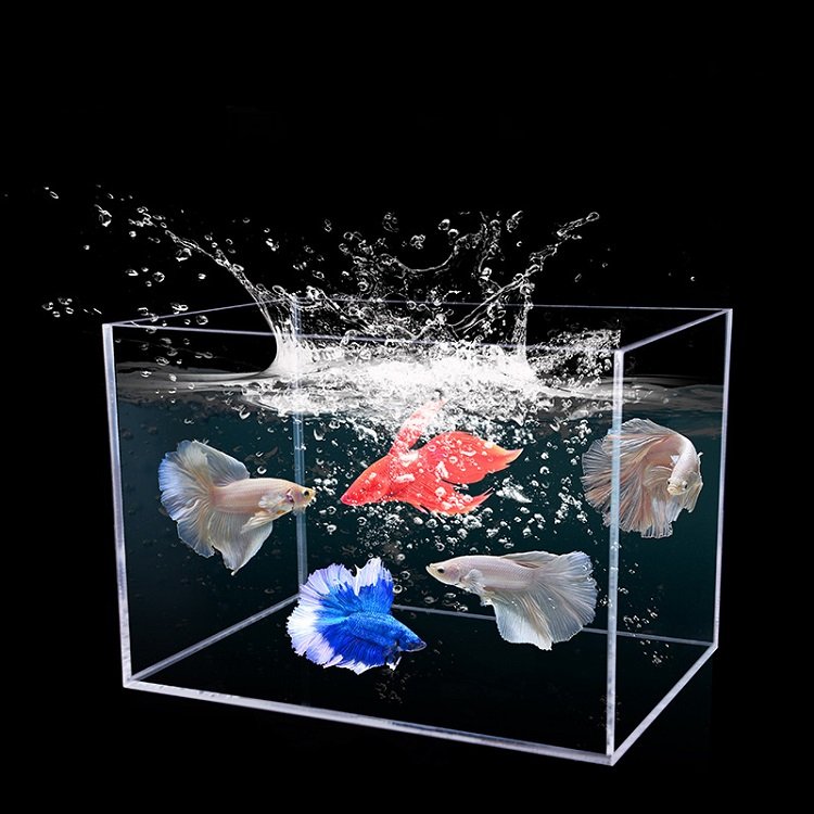 2022 wholesale Custom acrylic aquarium New Design Aquarium Tank Kit with LED Lighting fish tank