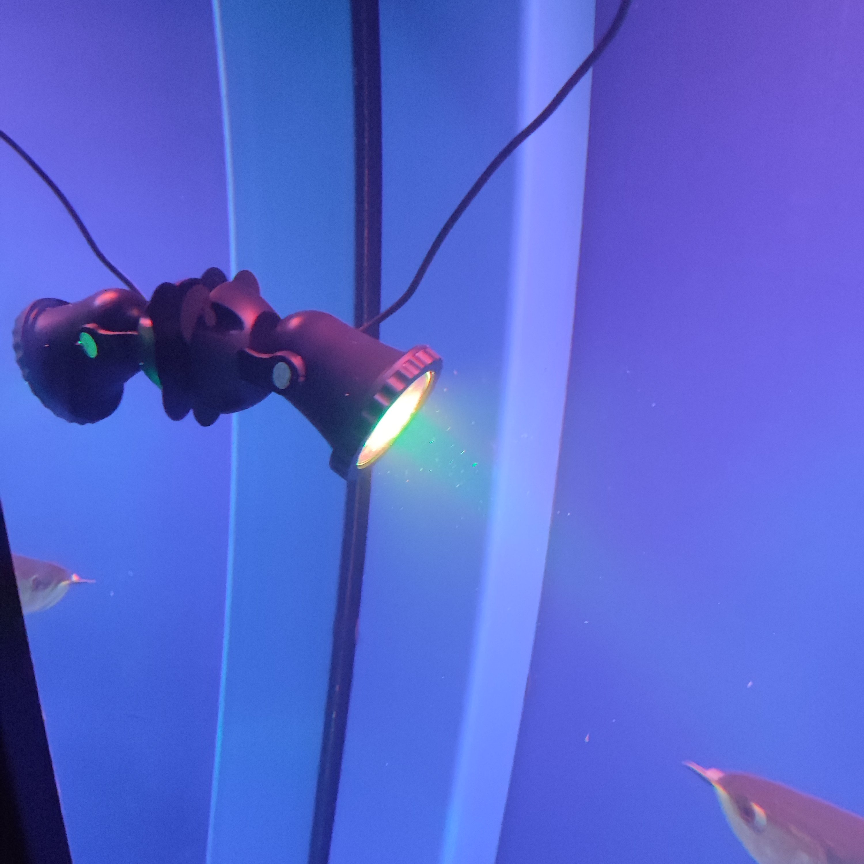 IP68 LED RGB 12V Aquarium Lights Waterproof Underwater Submersible Garden Pool Waterfall Landscape Pond Fountain Lights