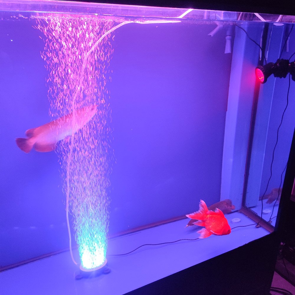 IP68 LED RGB 12V Aquarium Lights Waterproof Underwater Submersible Garden Pool Waterfall Landscape Pond Fountain Lights