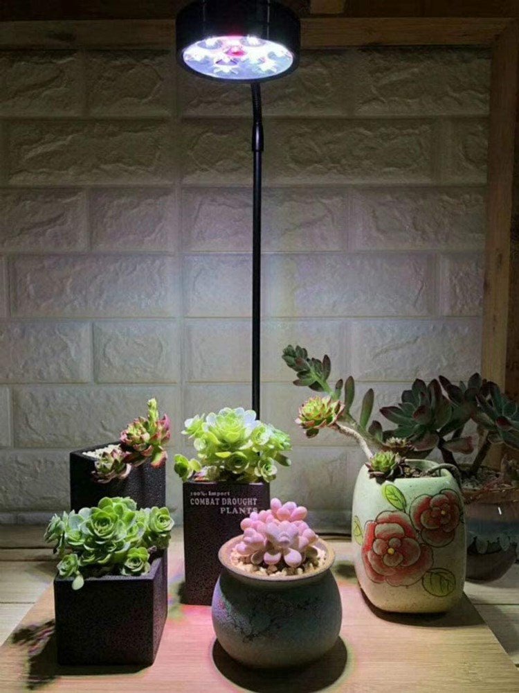 Multifunction Bamboo Board Freshwater Fish Tank Lamp Vivarium Terrarium Light Planted Full Spectrum Led Aquarium Light