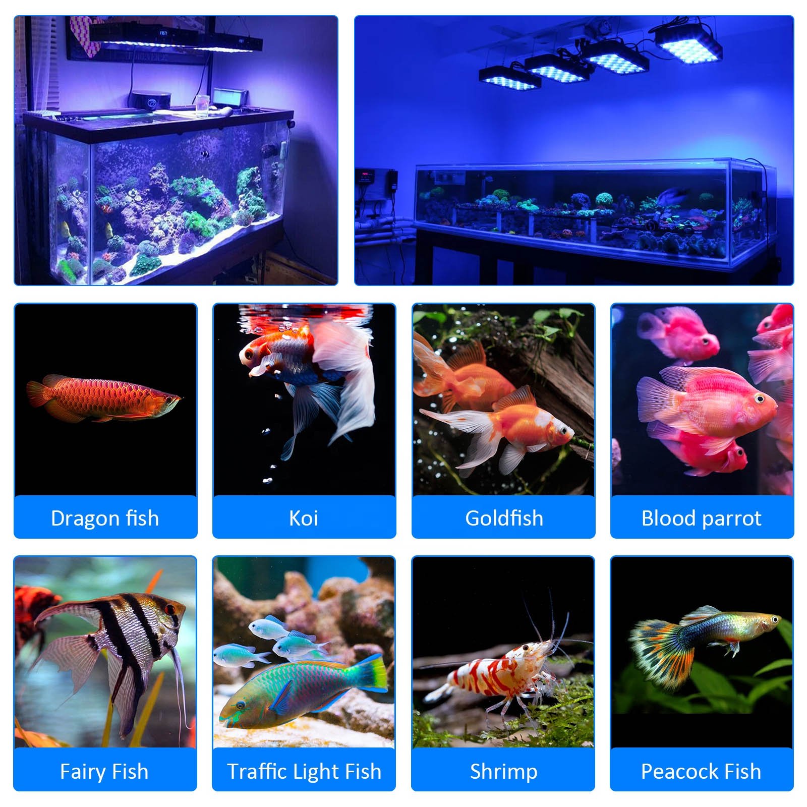 Cusomik 165 watt reef light led aquarium marine 3w leds led plant grow light with dimmer and 3 modes spectrum for fish