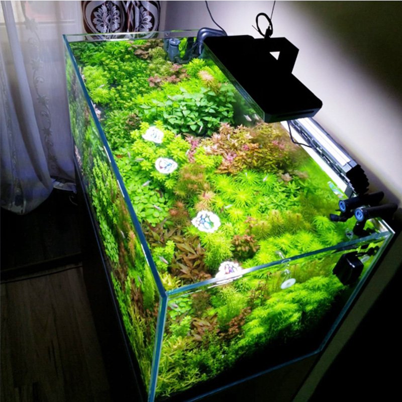 New Style Thor X 120W APP Control Reef Corals Aquarium Lighting with Adjustable Bracket for Standard Marine Aquarium