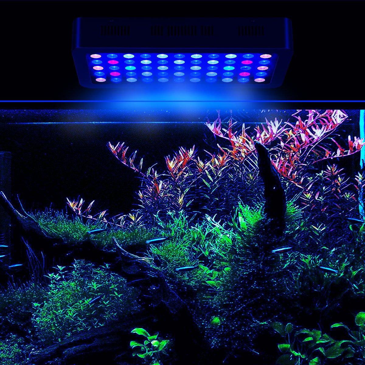 165W Dual Button Control Aquarium Light for Household Water Tank Aquatic Plants and Fish Premium Fish Light Reef LED Light