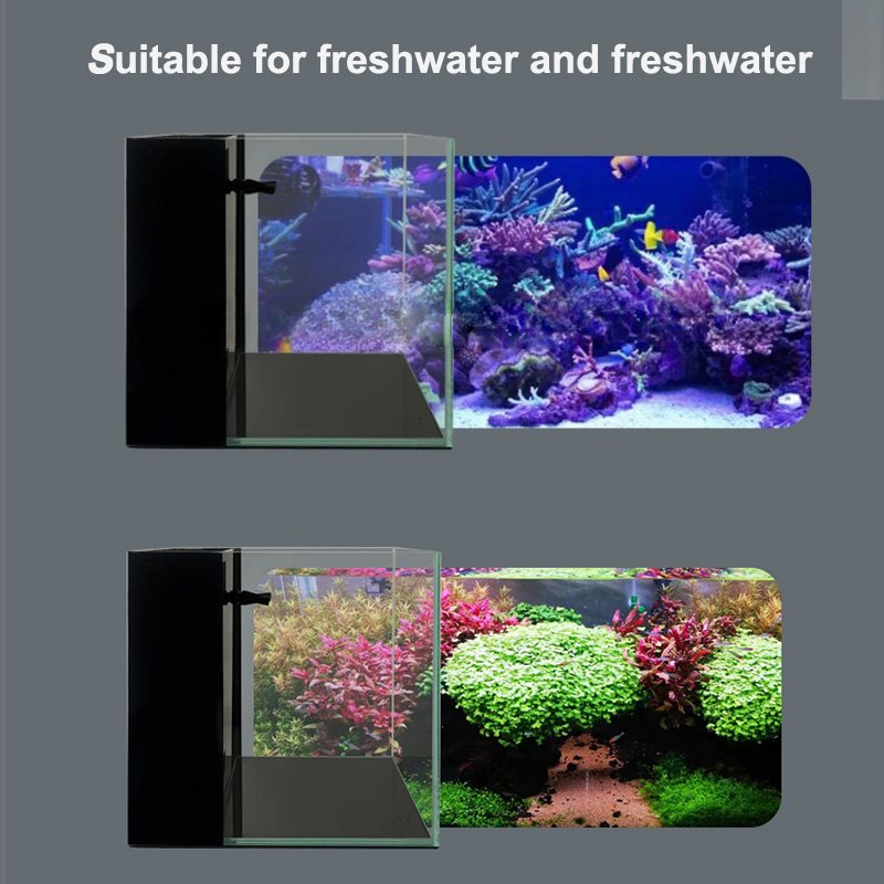 Low Iron Rimless Glass Aquarium Starter Kits with Backpack Partitioned Filtration, No Installation Required Betta Fish Tank
