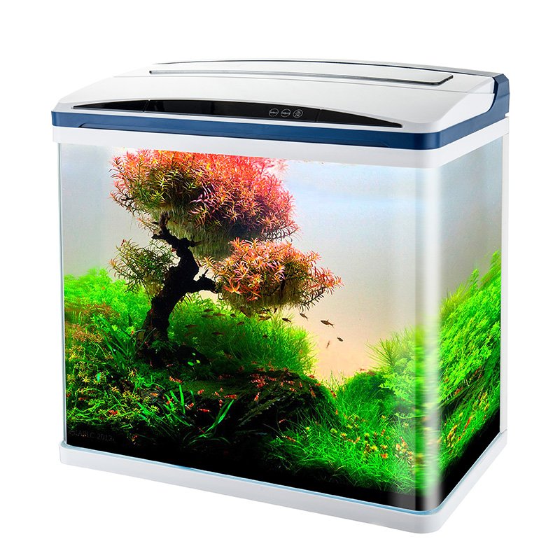 SHANDA New Design Aquarium Clear Glass Aquarium Fish Tank with LED Light Touch switch 40 60 80 100cm tank