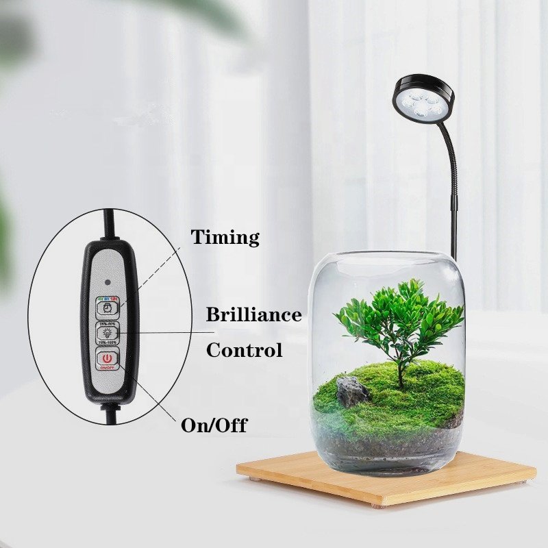 Salable Full spectrum microlandschaft Lighting Led Aquarium Fish Tank Light Bamboo Plant Lamp Planted Vivarium Terrarium Light