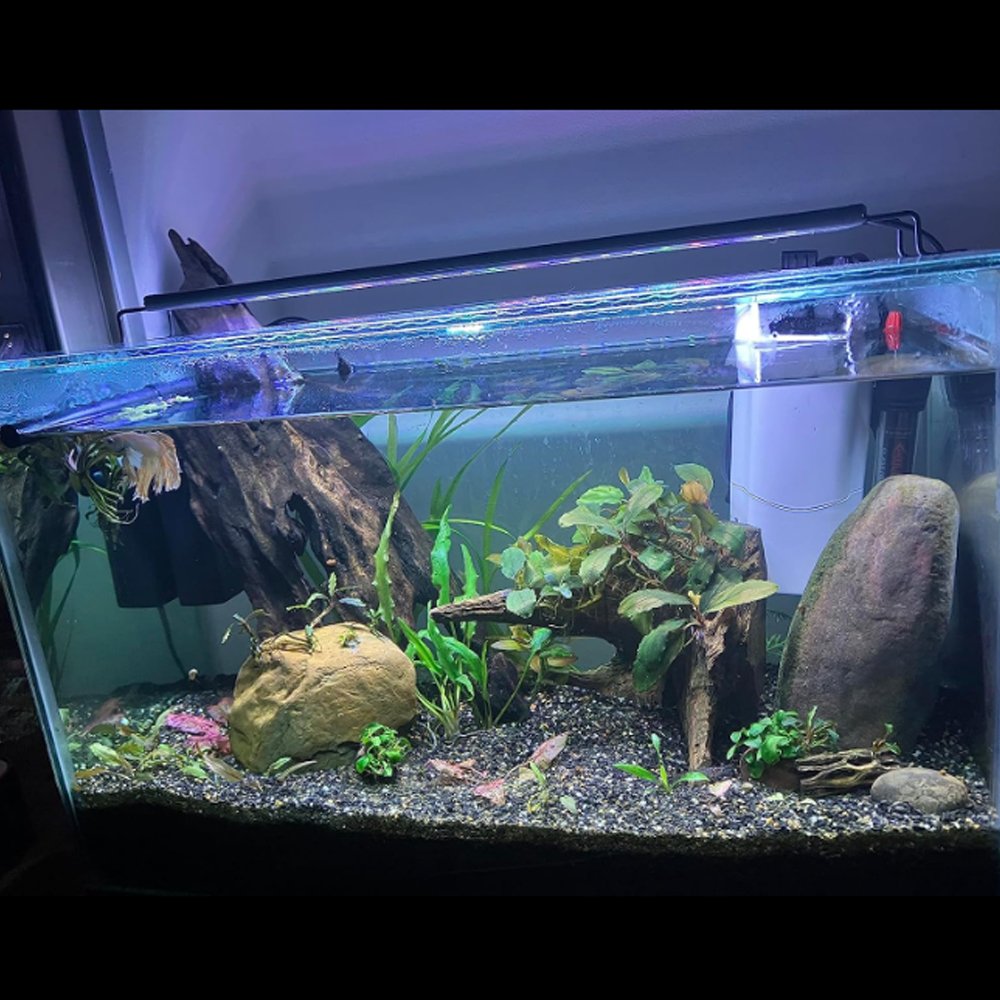 47-55 inch Fish Tank Light Aquarium Plant Light for freshwater aquarium lighting for Freshwater Fish & Planted fish tank