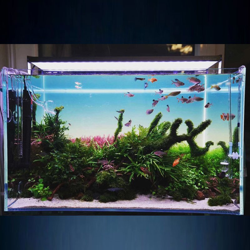 Long Service Life Optical Grade PMMA Led Aquarium Background Light Fish Tank Lighting