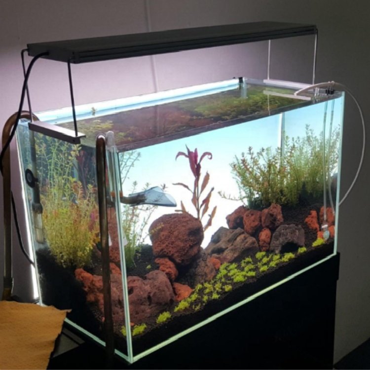 Long Service Life Optical Grade PMMA Led Aquarium Background Light Fish Tank Lighting