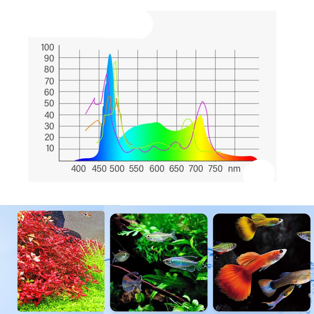 1 to 3 Gal Mini Fish Tank (Dimmable LED Lighting White+Blue+Red LED) USB Clip On Aquarium Light for 1 to 3 Gal Fish Tank