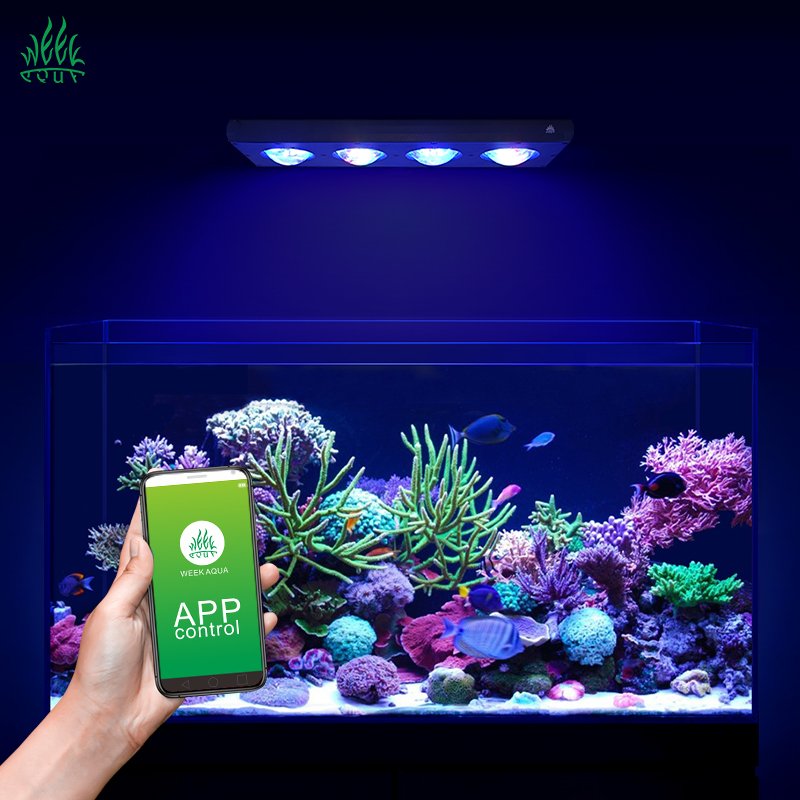 WEEKAQUA Hot sale marine aquarium light coral reef APP control Full Spectrum LED saltwater aquarium light for Marine aquarium