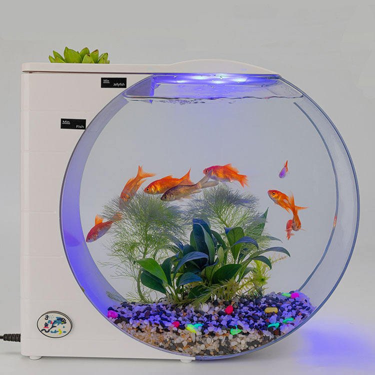 Source Merchant Customization desktop mini aquarium fish tank home decoration aquariums fish tanks for jellyfish aquarium