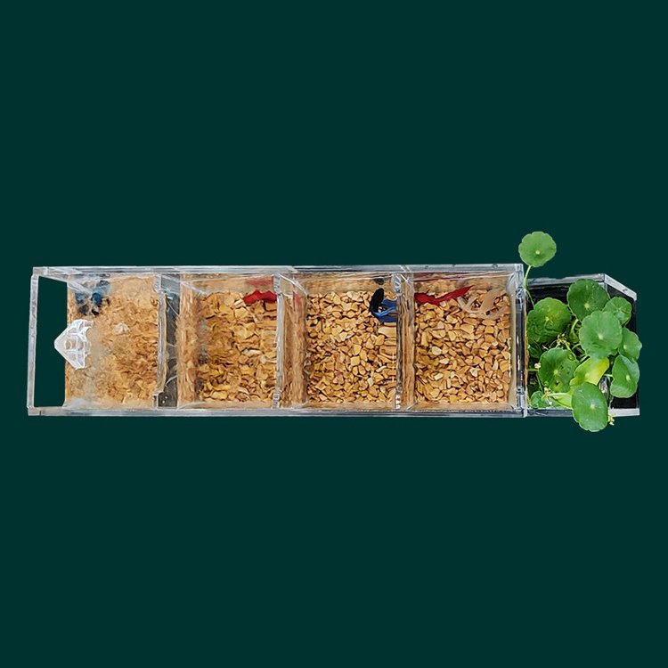 Relaxlines Small Aquarium Led Acrylic Creative Aquariums Square Tabletop Fish Tank with 2.5w Water Pump