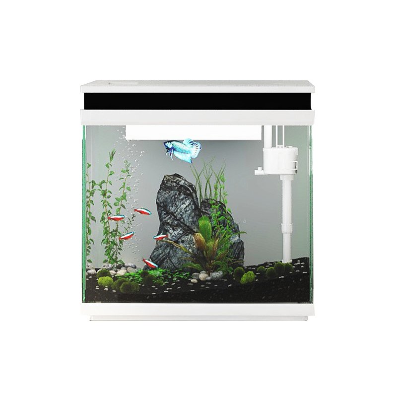 Hot Sale Glass Small Table Retail Fish Tank with Usb Led Lighting for Christmas Gift