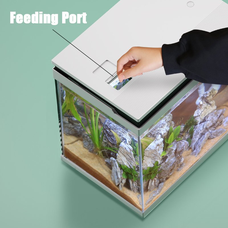 Hot Sale Glass Small Table Retail Fish Tank with Usb Led Lighting for Christmas Gift