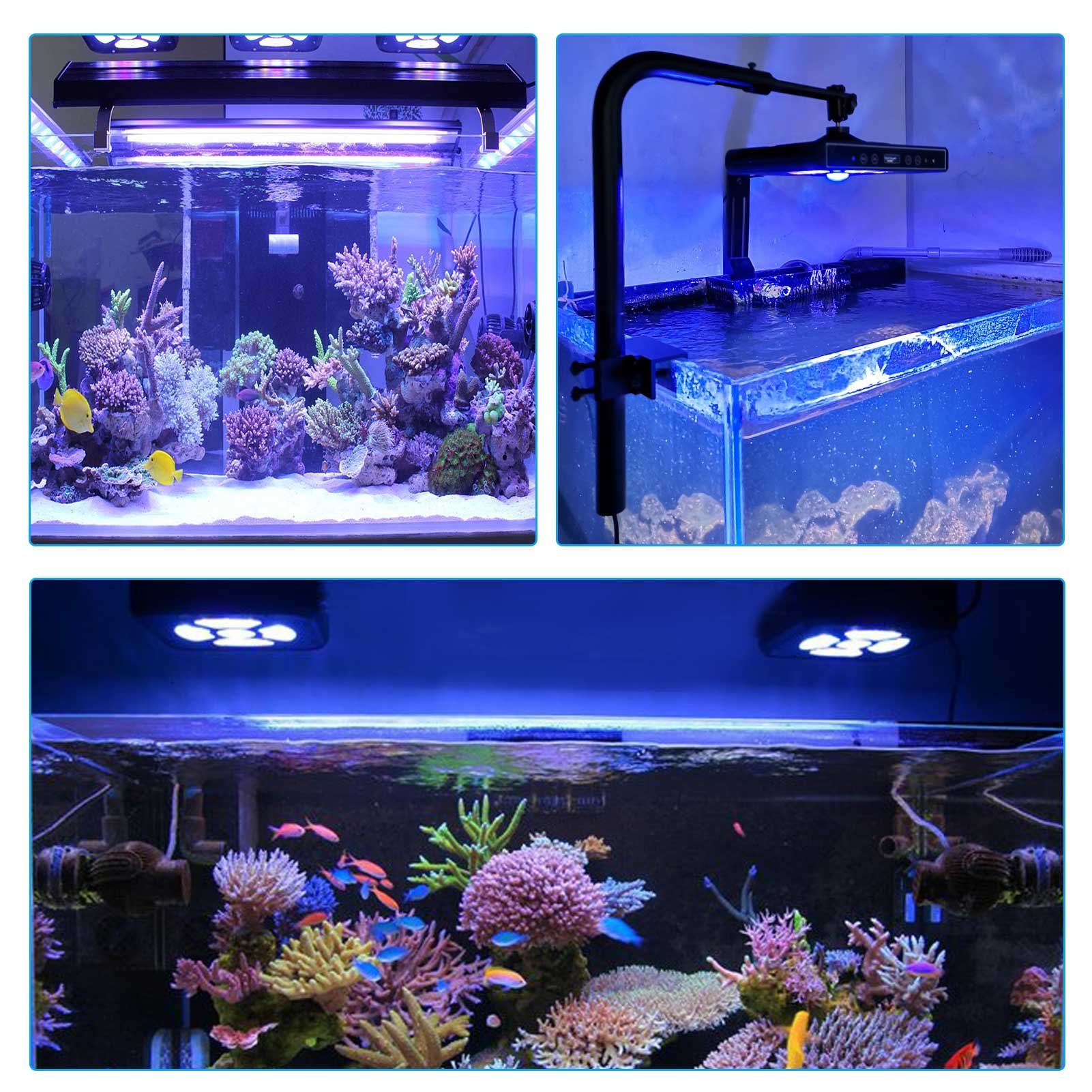 CTLite G6 AquaSpace 100W led aquarium lights for corals reef tank saltwater fish aqua plants