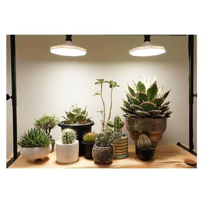 Wonderful Working Quality 50W Plant Grow Wide Irradiations Light Octagonal Lamps Home Decor Luxury