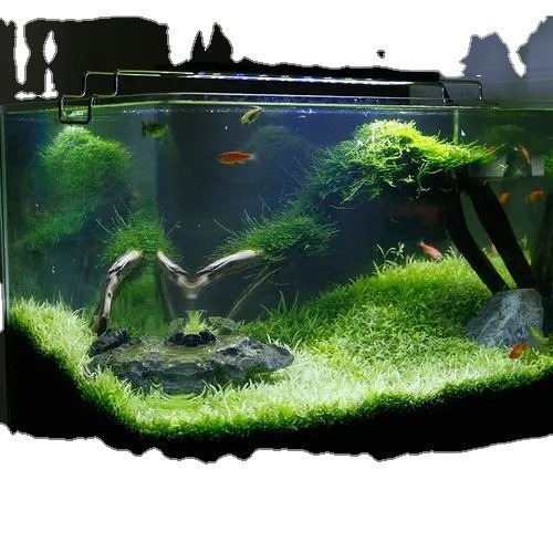 Cheap underwater LED lamps aquarium decorative lighting plant growth LED lamps waterproof LED aquarium lights