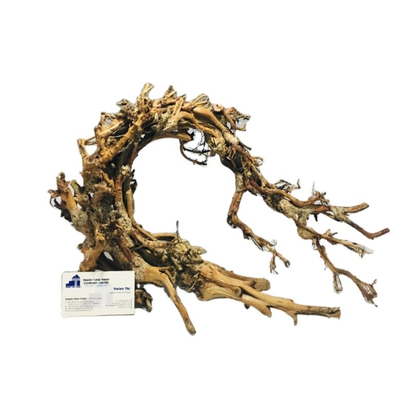 2024 New Design Bonsai Driftwood aquarium driftwood for Shrimp Fish Betta Freshwater Aqua Decoration WhatsApp: +84 961005832