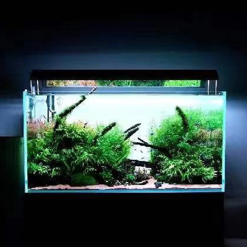 Customizable wholesale fish tank led lighting 120cm fish tank light aquarium light fish tank