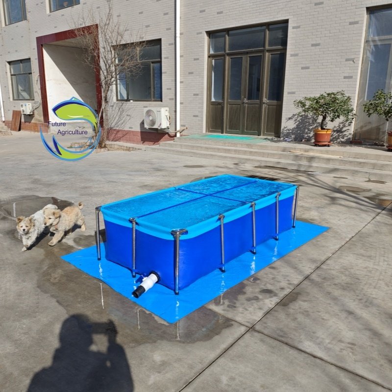 BJ Pisciculture Hors Sol Bassin Fish Farming Equipments Fish Hatchery Hatching Training Above Ground Fish Tank