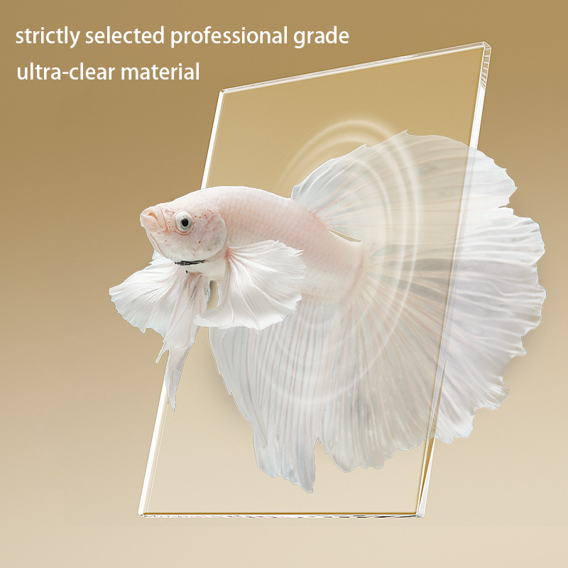 Beautiful Mini Desktop Aquarium Starter Kit Small Goldfish Betta Fish Tank LED Light Custom Plastic Acrylic Pet Tank Home Use