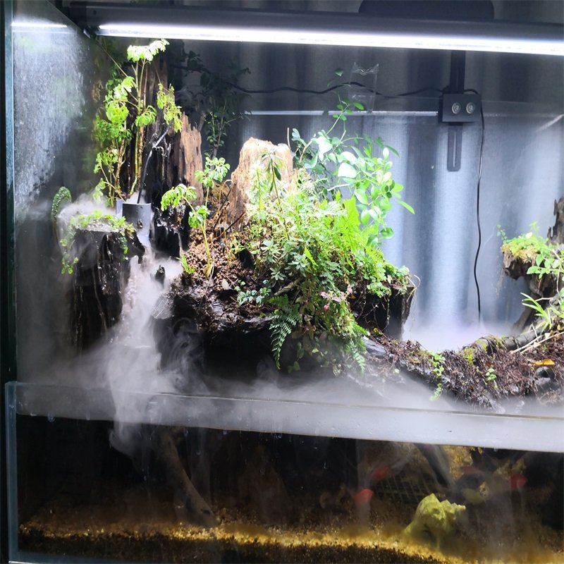 zaohetian Aquarium tanning lamp Pet fluorescent lamp Aquarium fluorescent lights
