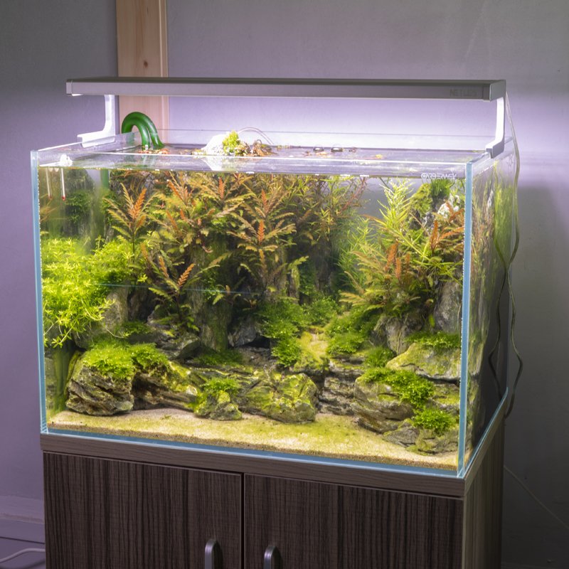 High power NETLEA RGB60 LED Aquarium Light 70W Landscaping Light for aquatic aquarium light