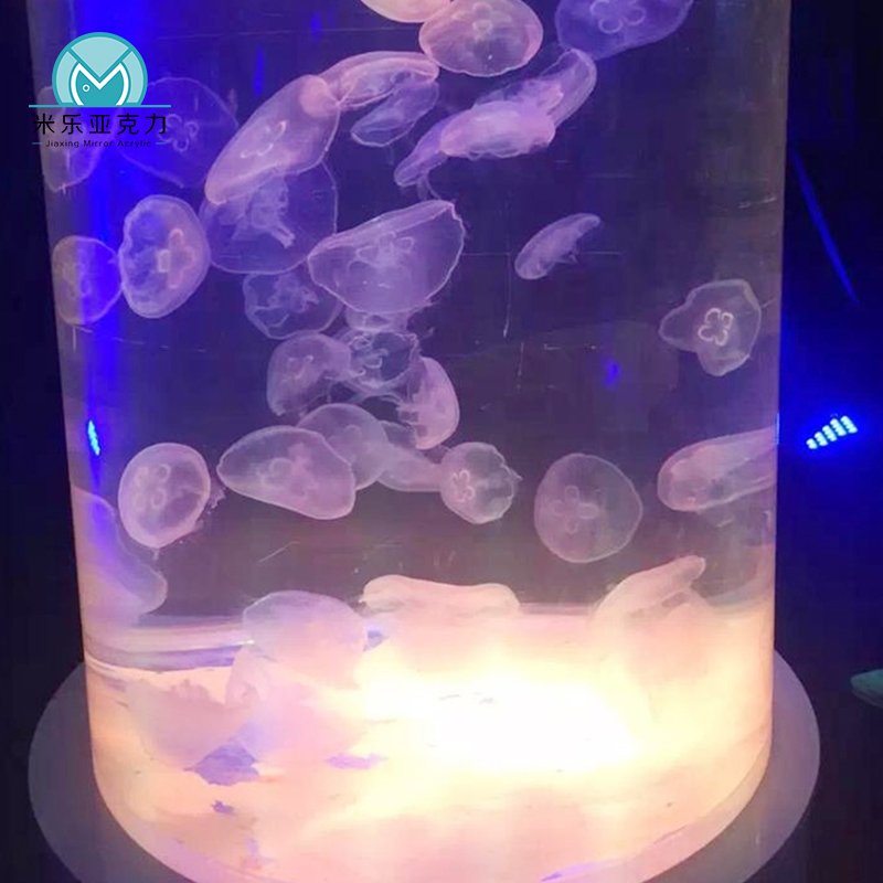 Acrylic Cylindrical Aquariums Acrylic round Fish Tank Lighting And Filter System