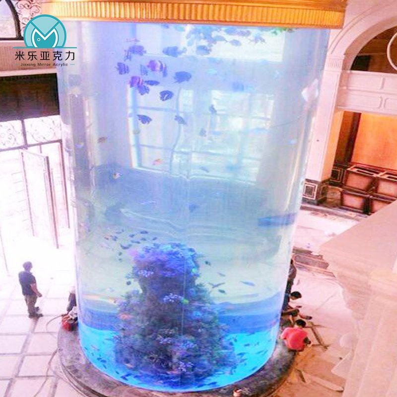 Acrylic Cylindrical Aquariums Acrylic round Fish Tank Lighting And Filter System
