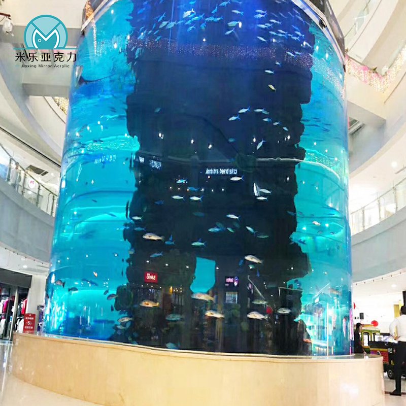 Acrylic Cylindrical Aquariums Acrylic round Fish Tank Lighting And Filter System