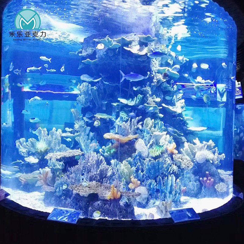 Acrylic Cylindrical Aquariums Acrylic round Fish Tank Lighting And Filter System