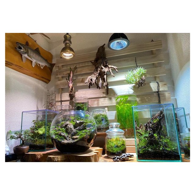 Excellent Quality Top Approval TSKUYOMI 10W Akadamachan Led Light For Planted Aquarium